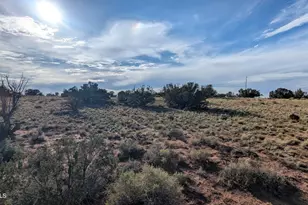 Lot 17 Green Valley Farms --, Saint Johns, AZ 85936 - Photo 1