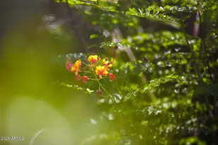 12519 W Palo Brea Ln, Peoria, AZ 85383 - Photo 30