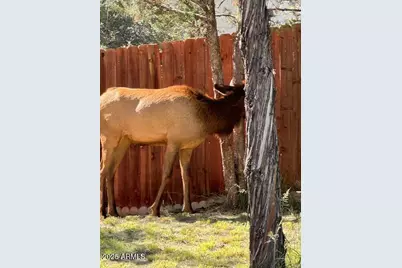 606 N Easy Street #D, Payson, AZ 85541 - Photo 24