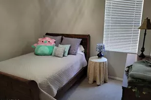 17692 N Coconino Dr, Surprise, AZ 85374 - Photo 16