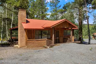 61 County Road 1121 --, Greer, AZ 85927 - Photo 56