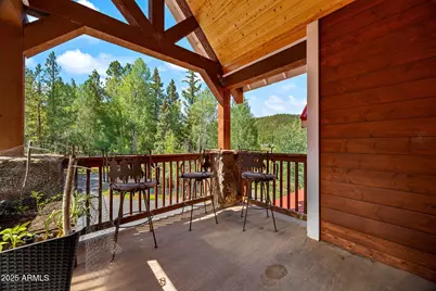 61 County Road 1121 --, Greer, AZ 85927 - Photo 8