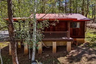 61 County Road 1121 --, Greer, AZ 85927 - Photo 70