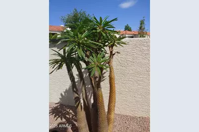 9990 N Scottsdale Road #3025, Paradise Valley, AZ 85253 - Photo 22