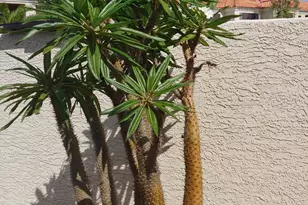 9990 N Scottsdale Rd, Paradise Valley, AZ 85253 - Photo 22