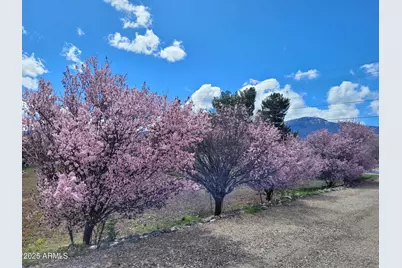 315 S Willard Street, Cottonwood, AZ 86326 - Photo 26