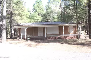 659 Mule Springs Trail, Forest Lakes, AZ 85931 - Photo 2