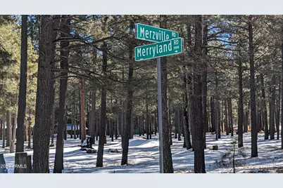 1960 Merryland Road #233, Forest Lakes, AZ 85931 - Photo 1