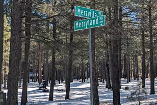 1960 Merryland Rd, Forest Lakes, AZ 85931 - Photo 1