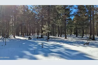 1960 Merryland Road #233, Forest Lakes, AZ 85931 - Photo 2