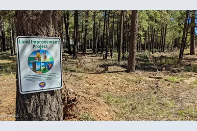 1019 Merzville Road #234, Forest Lakes, AZ 85931 - Photo 8