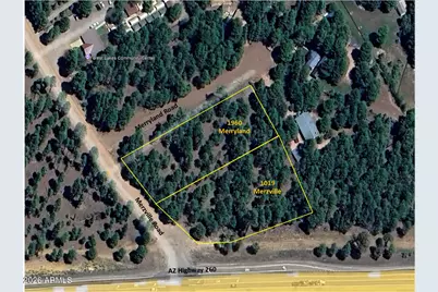 1019 Merzville Road #234, Forest Lakes, AZ 85931 - Photo 10