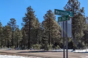 1019 Merzville Rd, Forest Lakes, AZ 85931 - Photo 1