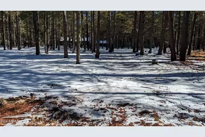 1019 Merzville Road #234, Forest Lakes, AZ 85931 - Photo 2