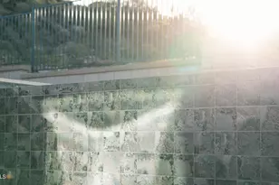 2439 W Donatello Dr, Phoenix, AZ 85086 - Photo 22