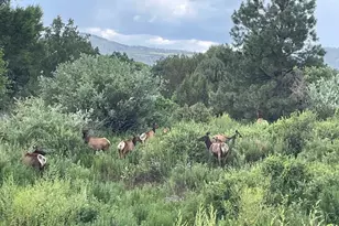 15 N3479, Vernon, AZ 85940 - Photo 1