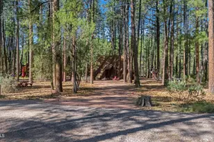 370 N Coyote Trl, Payson, AZ 85541 - Photo 36