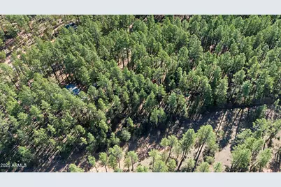 370 N Coyote Trail, Payson, AZ 85541 - Photo 38