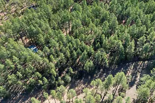 370 N Coyote Trl, Payson, AZ 85541 - Photo 38