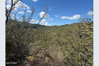 22865 S Gladiator Mine Road #-, Crown King, AZ 86343 - Photo 4