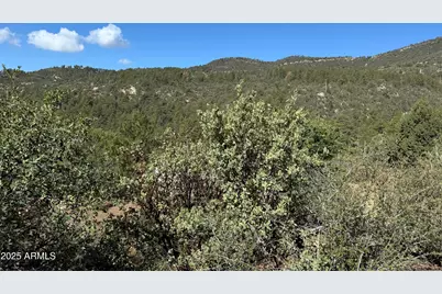 22865 S Gladiator Mine Road #-, Crown King, AZ 86343 - Photo 1