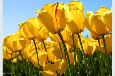 22223 W Dnp Test Listing Street #29, Tempe, AZ 85284 - Photo 2