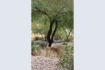 8160 E Canyon Estates Circle, Gold Canyon, AZ 85118 - Photo 36