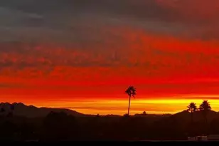 14415 N Boxwood Ln, Fountain Hills, AZ 85268 - Photo 20