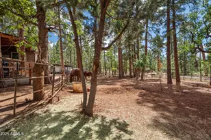 1659 Mormon Rd, Happy Jack, AZ 86024 - Photo 46