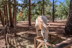 1659 Mormon Rd, Happy Jack, AZ 86024 - Photo 36