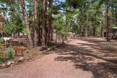 1659 Mormon Road, Happy Jack, AZ 86024 - Photo 1