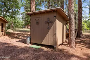 1659 Mormon Rd, Happy Jack, AZ 86024 - Photo 22