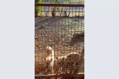 9097 N Montie Avenue, McNeal, AZ 85617 - Photo 48