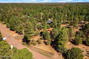 2240 Roundabout Way, Overgaard, AZ 85933 - Photo 36