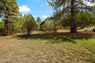 2240 Roundabout Way, Overgaard, AZ 85933 - Photo 2