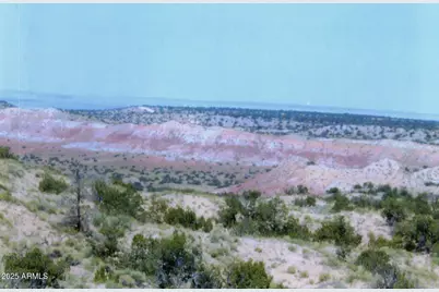 000 N6315 -- #115, Saint Johns, AZ 85936 - Photo 1