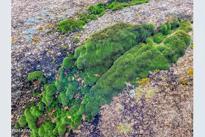 27777 N 95th Street #1, Scottsdale, AZ 85262 - Photo 60