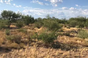 29620 S State Route 89 --, Congress, AZ 85332 - Photo 1