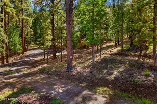 26 Cr -- N, Greer, AZ 85927 - Photo 42