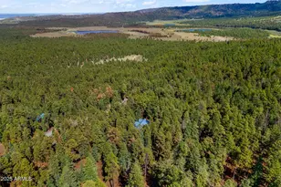 26 Cr -- N, Greer, AZ 85927 - Photo 40