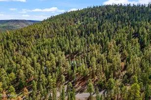 26 Cr -- N, Greer, AZ 85927 - Photo 38