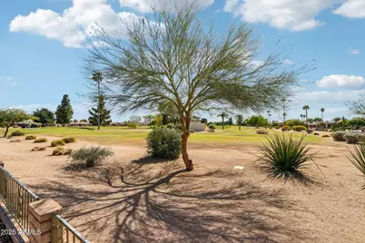 19832 N Cherry Tree Lane, Sun City, AZ 85373 - Photo 40