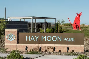 4525 S 127th Ln, Avondale, AZ 85323 - Photo 46