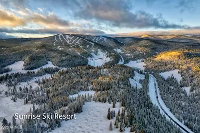 3723 Crown Dancer Drive, Pinetop, AZ 85935 - Photo 48