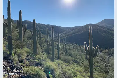 42000 N Fleming Springs Road #P, Cave Creek, AZ 85331 - Photo 32