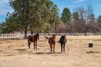 4000 W Mahoney Road #-, Camp Verde, AZ 86322 - Photo 8