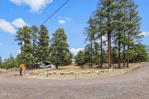 1875 Short St, Happy Jack, AZ 86024 - Photo 50