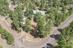 1875 Short St, Happy Jack, AZ 86024 - Photo 46