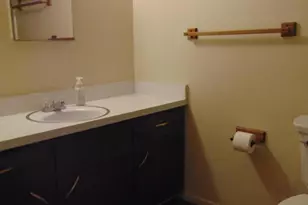 337 N Comanche Dr, Chandler, AZ 85224 - Photo 20