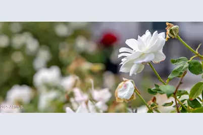 807 E State Avenue, Phoenix, AZ 85020 - Photo 10